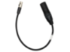 Bild von RSVB-AMB-2