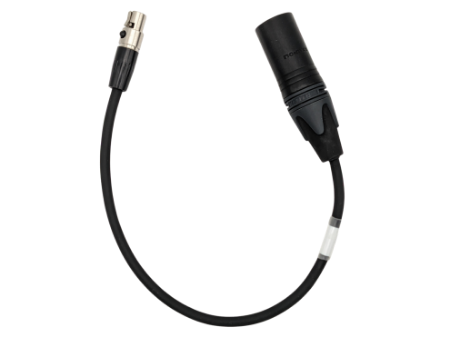 Imagen de RSVB-AMB-2