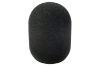 Picture of 45/100 Large Diaphragm Mic Foam Single