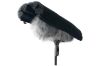 Bild von Duck Raincover 7