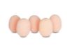 Immagine di Lavalier Foams Beige (10 packs of 5)