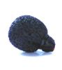 Image de Neoprene-coated Mini Lavalier Foam