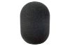Neumann TLM 103 Foam (Single) の画像