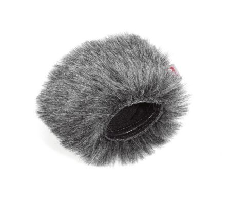 Image de Tascam DR-22WL Mini Windjammer