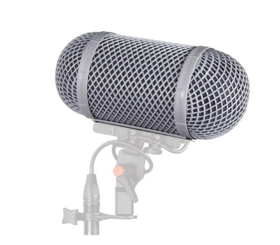 Windshield WS 10
