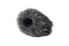 Image de Zoom H1N Mini Windjammer